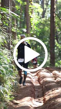 BIB:  <button type="button" onclick="openModal(26569485)" class="btn btn-primary btn-sm float-right" data-toggle="modal" data-target=".modal-high-quality">
                <i class="fa fa-download"></i> Download
                </button>